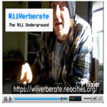 wiiverberate