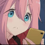 8113523