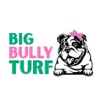bigbullyturf