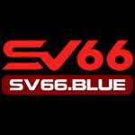 sv66blue1
