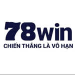 78Winaccountant