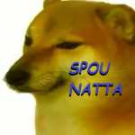 spounatta