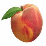 Peachemia