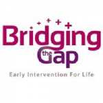 bridgingthegap