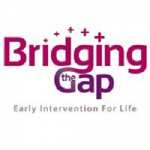 bridgingthegap