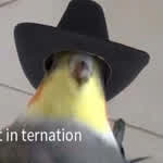 Birbfrr