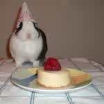 BunnyM00n