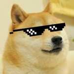 DogeGamer2015