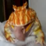 matroskavideofile