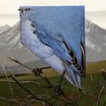 YouLikeOrangeTooMuch