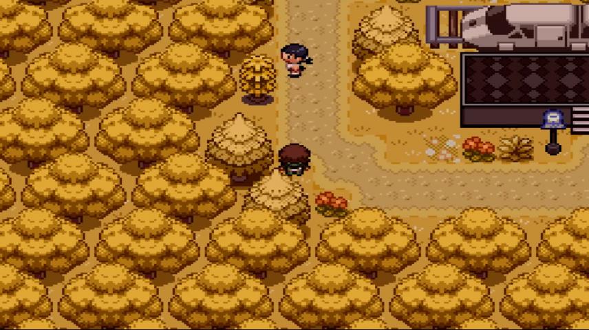 Her Mother Is Missing Pokemon Rejuvenation Part 9 Vidlii