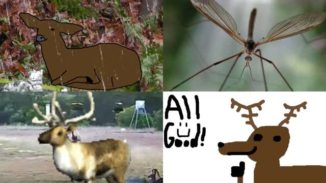 4D [Vidlii Exclusive]