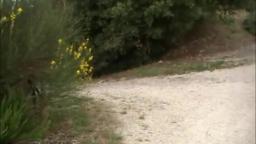 La Fornace per il Ciclismo - In giro per l'Orvietano - Percorso n°2