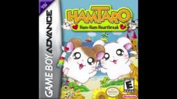 Hamtaro Ham-Ham Heartbreak OST 3 - Map