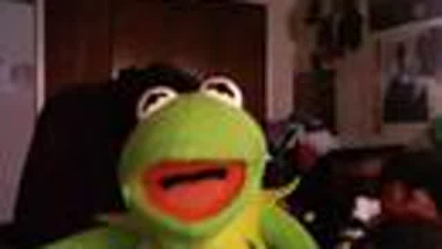 Kermit the Frog reacts to "2 girls one cup"