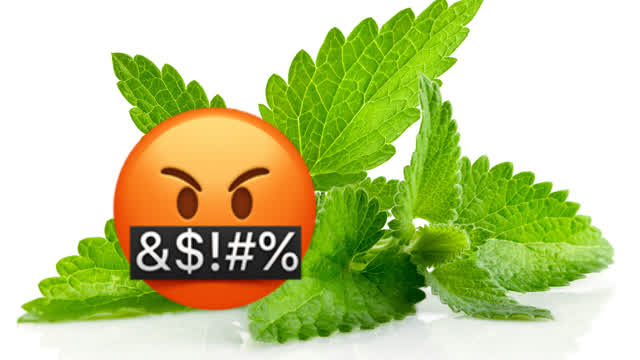 (Joke) MINT LEAF REVIEW!!!! - THE AUTISTIC NEURODIVERGENT SKEPTIC ATHEIST GAMER21