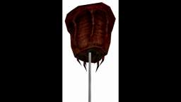 Half Life - Sound Effects - Barnacle