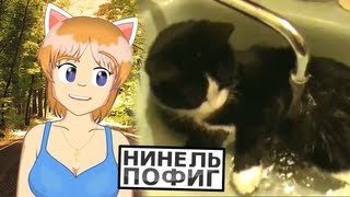 Котэ, ванна и какава с чаем (Нинель Пофиг)