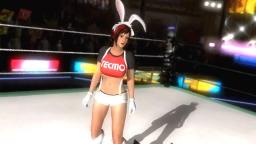 DOA5LR TECMO 50th Anniversary Costumes!