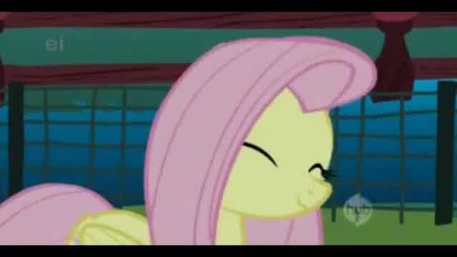 (PMV) Fluttershys Lament