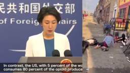 American zombie apocalypse appreciated in China