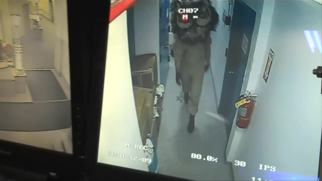Owls__CCTV_Footage