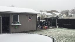 Its snowing for the first time in a while in my area (Recorded 12/9/2021 2:05PM MT)