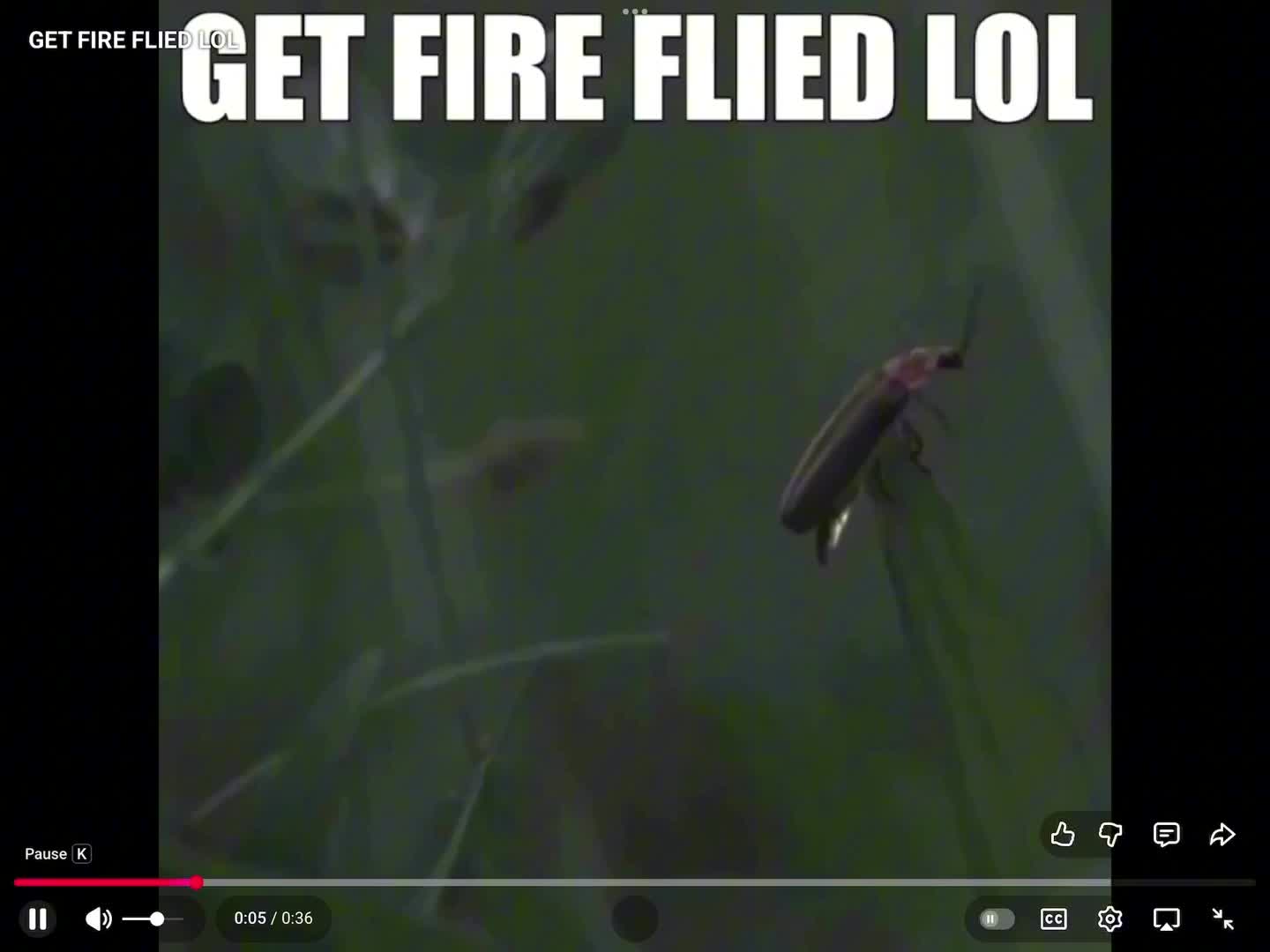 21 rickrolls in one video