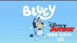 Bluey Disney Junior USA intro (2)