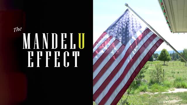 The Mandela Effect w/ Owen Benjamin & Benny Wills