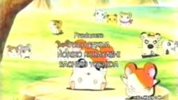 Hamtaro Ending – English Version !