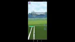Pokémon GO PVP 51