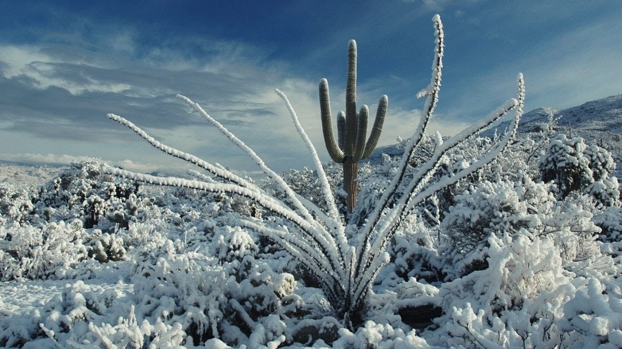 Snow in Mexico City.