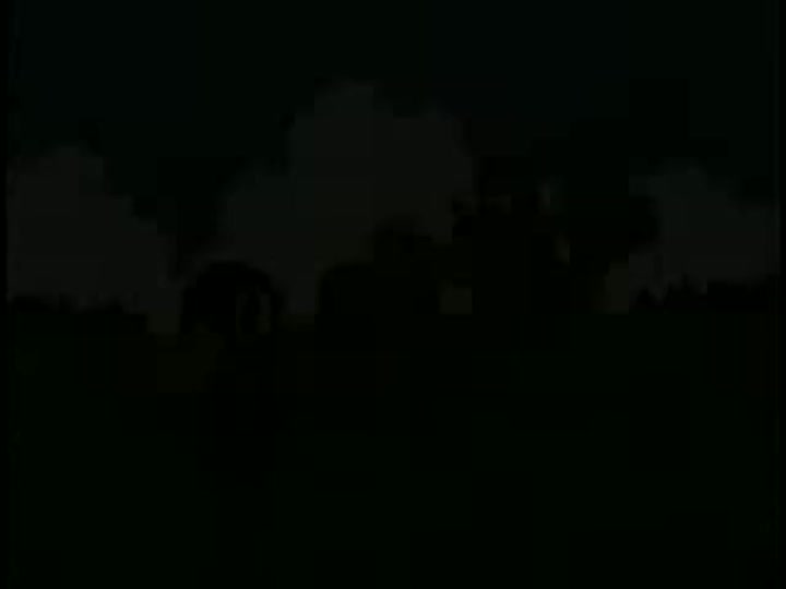 drinky crow maakies drinky crow maakies
