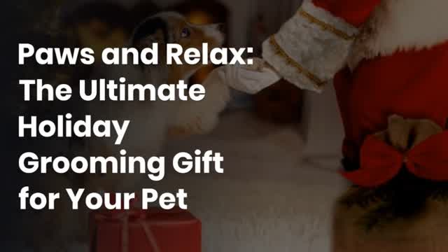 Paws and Relax: The Ultimate Holiday Grooming Gift for Your Pet