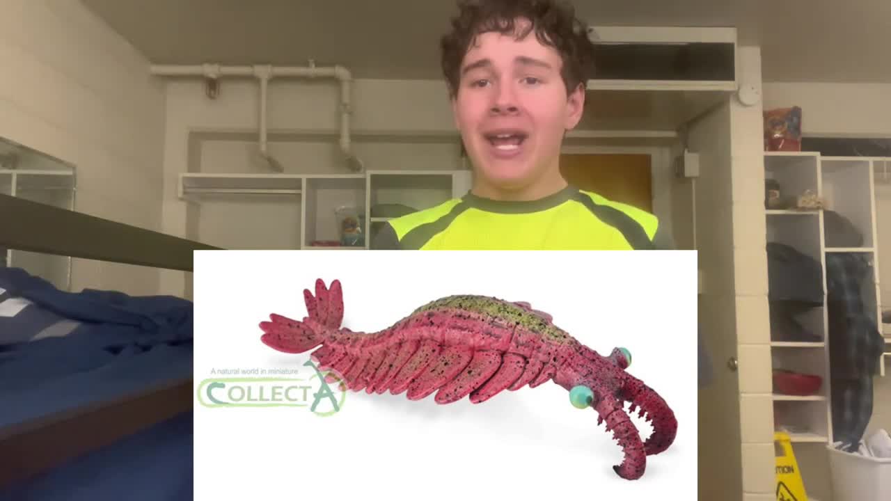 New Collecta 2023 Anomalocaris and Dinosaurs revealed