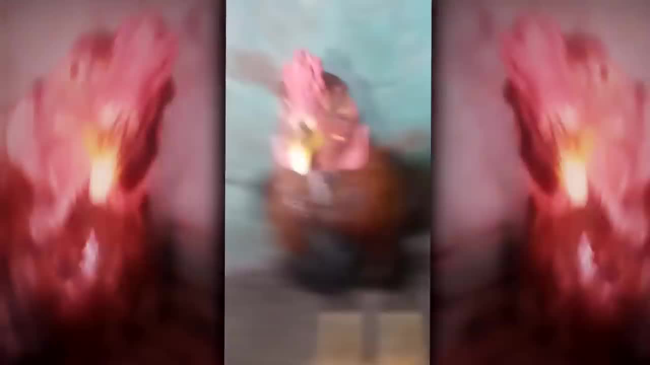 CHICKEN BEATBOX REMIX