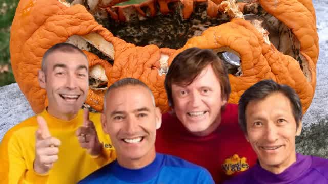 THE WIGGLES' SWELL SPOOKY SEXY HALLOWEEN ROMP RATED PG-13