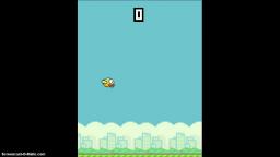 Flappy Bird fail | BlockSquish