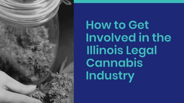 How to Get Involved in the Illinois Legal Cannabis Industry