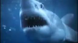Copy of JAWS Great White Shark-240p