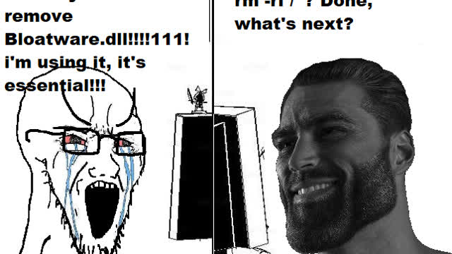 critica destructiva a Windows 11