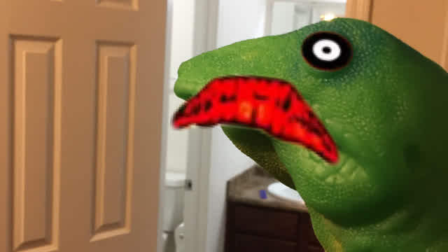 Creepy Lizard Strikes Camera