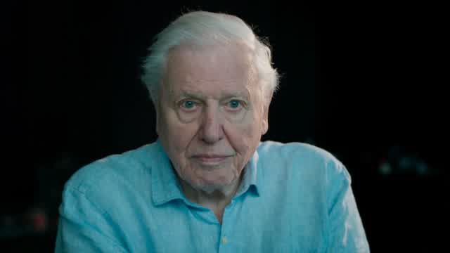 David Attenborough reads the navy seals copypasta