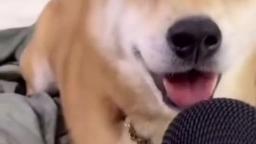 RANDOM VIDS THAT I FOUND IN TIKTOK #28