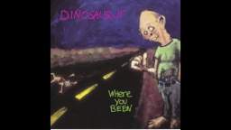 Dinosaur Jr. - I Aint Sayin