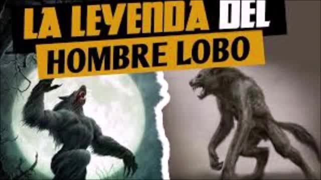144 Un hombre lobo se puede ver en una ventana de Suecia