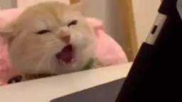 YOU DOUND MY SECEWT CGANEL THIS VIDEO IS FROM THE FUTURE