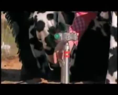 The Wiggles-Stop The Fg Car(By marrokiu ReUpload)