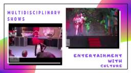 Multidisciplinary SHOWS in theme parks events